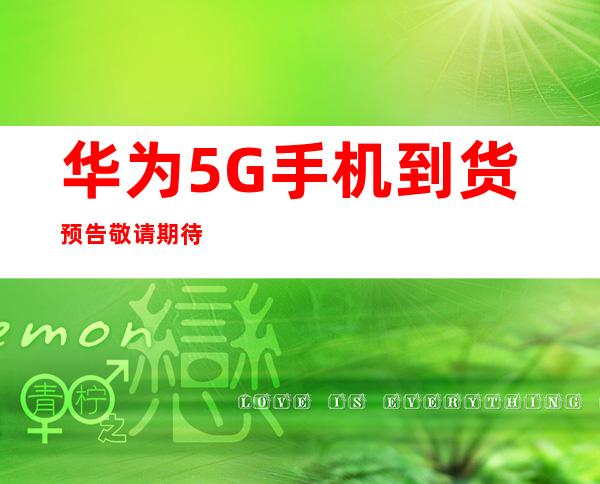 传承红色血脉，筑牢Weilink长城